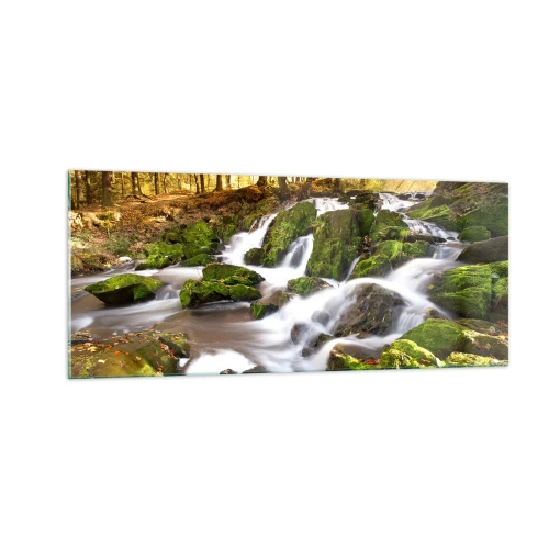 Glasbild - Bild auf glas - Rasch durch den herbstlichen Wald - 100x40 cm