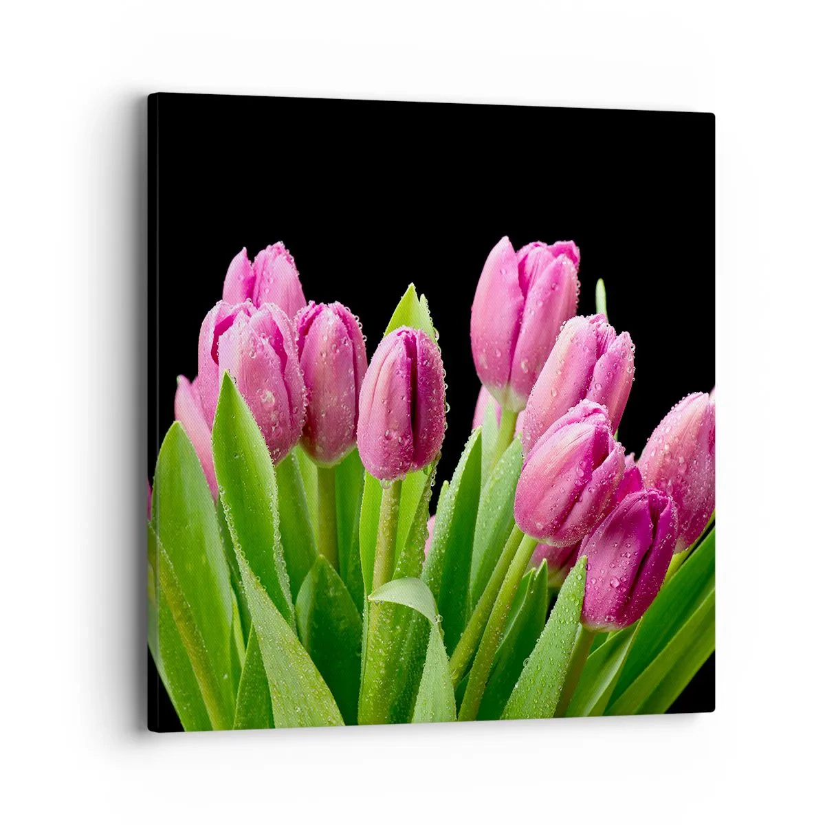 Bild auf Leinwand - Leinwandbild - Lila Frühlingsfreude - 40x40 cm