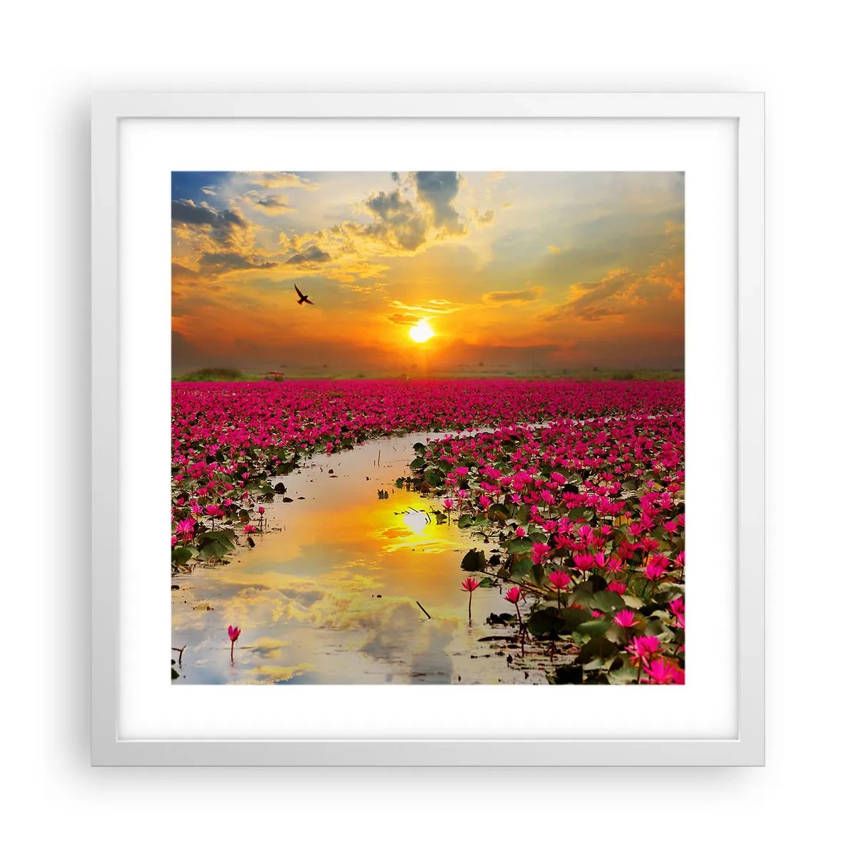 Poster in einem weißen Rahmen - Das geheime Leben des Sees - 40x40 cm