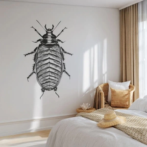 Selbstklebende Fototapete Deluxe Sticker - Was für ein Exemplar! - Insekt, Kakerlake, Minimalismus - 300x210 cm