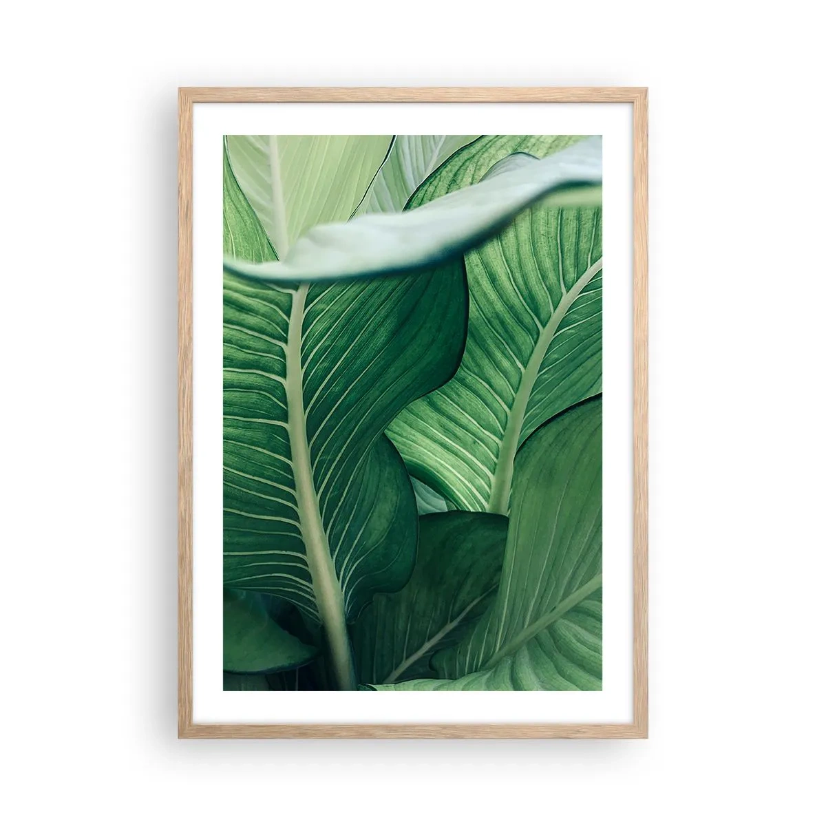 Poster in einem Rahmen aus heller Eiche - Intensiv grünes Leben - 50x70 cm