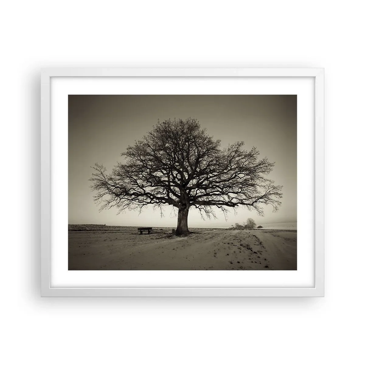 Poster in einem weißen Rahmen - Von hier zu Ewigkeit - 50x40 cm