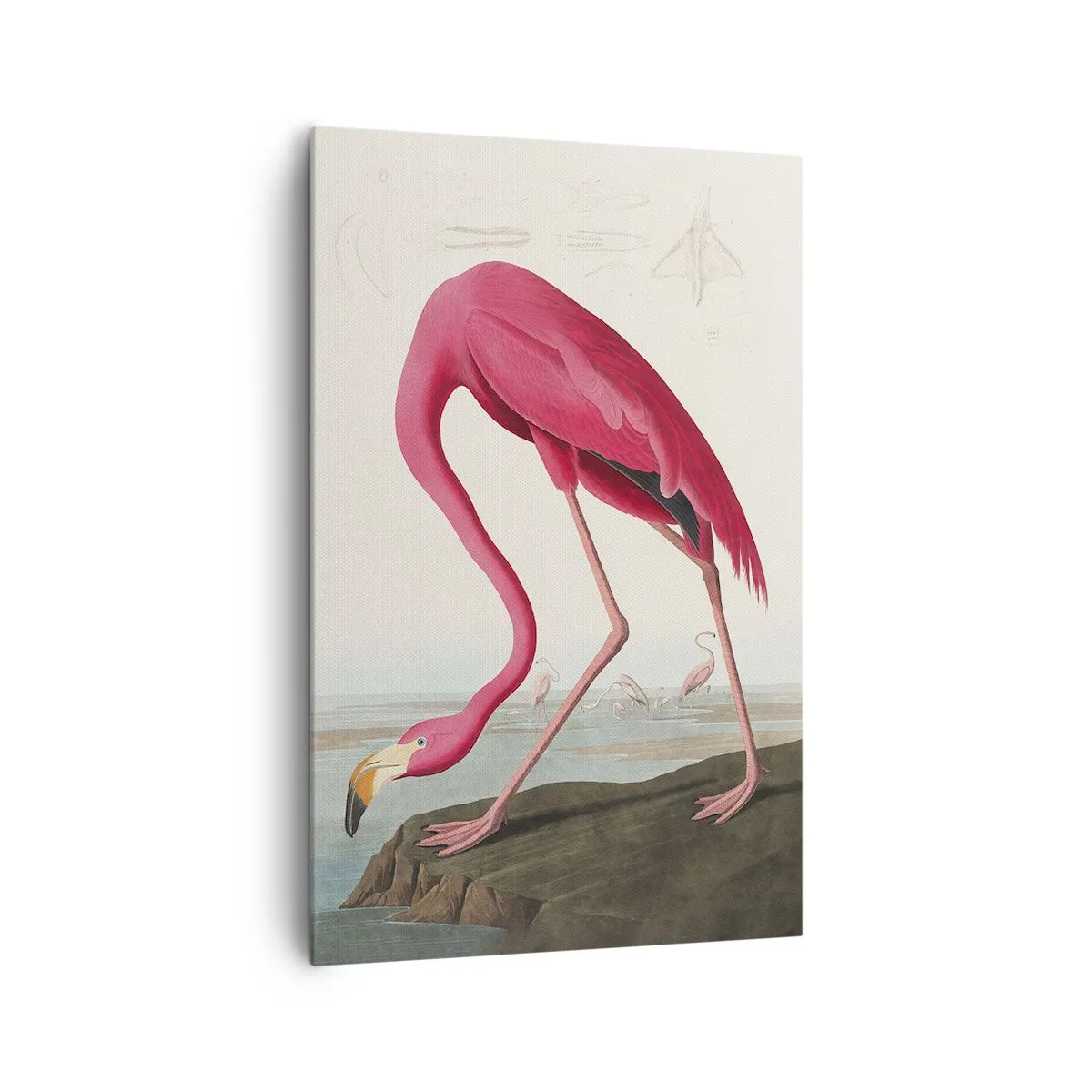 Bild auf Leinwand - Leinwandbild - Erstaunliche Kreation - 80x120 cm