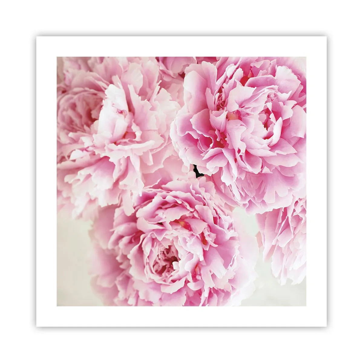 Poster - In rosa Glamour - 50x50 cm