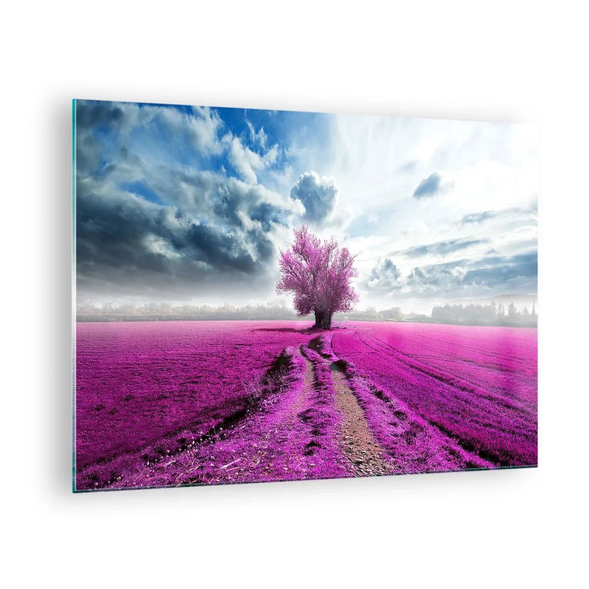 Glasbild - Bild auf glas - Ein Baum in einem Heidefeld unter einem dynamischen Himmel - 70x50cm - Heide - Wildnis - Moderne Wanddekoration für Wohnzimmer und Schlafzimmer ARTTOR