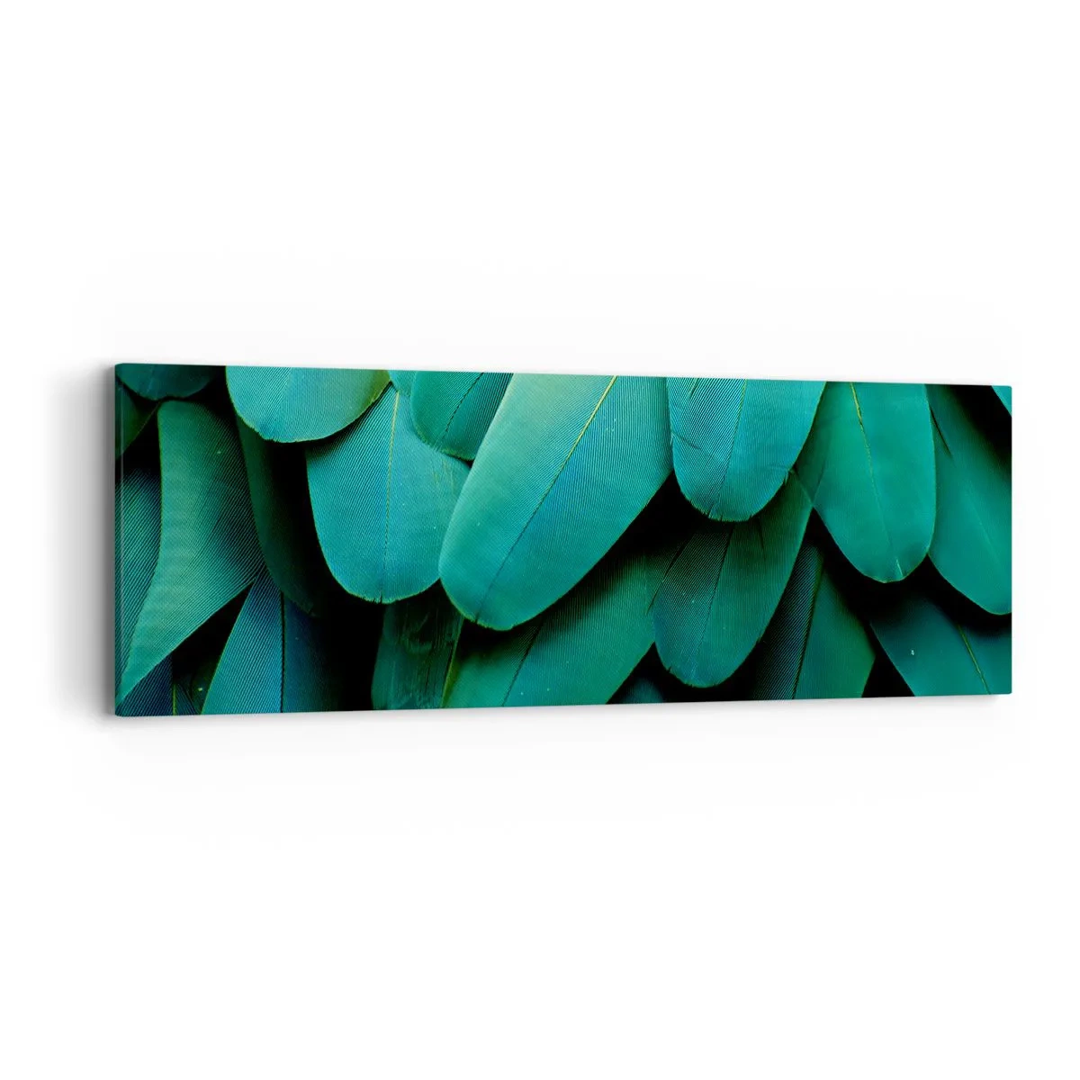 Bild auf Leinwand - Leinwandbild - Papageienartige Präzision - 90x30 cm