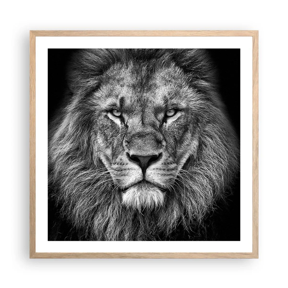 Poster in einem Rahmen aus heller Eiche - Im Krönungsgewand - 60x60 cm