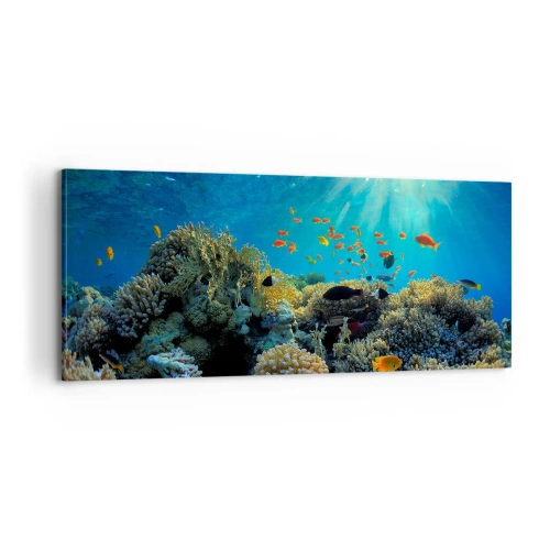 Bild auf Leinwand - Leinwandbild - Unterwasserschätze - 100x40 cm