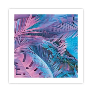 Poster - Tropen in Rosa und Blau - 50x50 cm