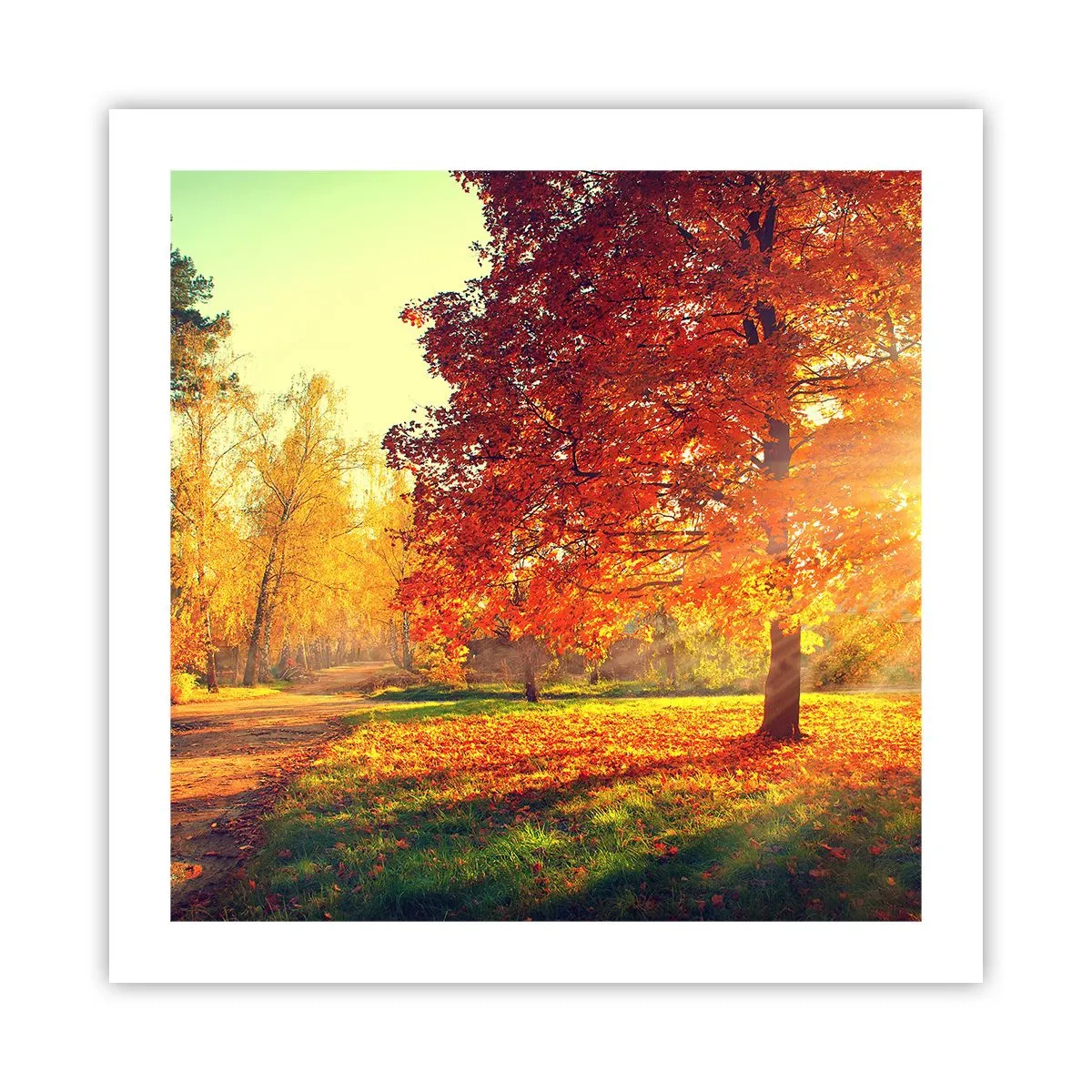 Poster - Unhöflich ist schön - 50x50 cm