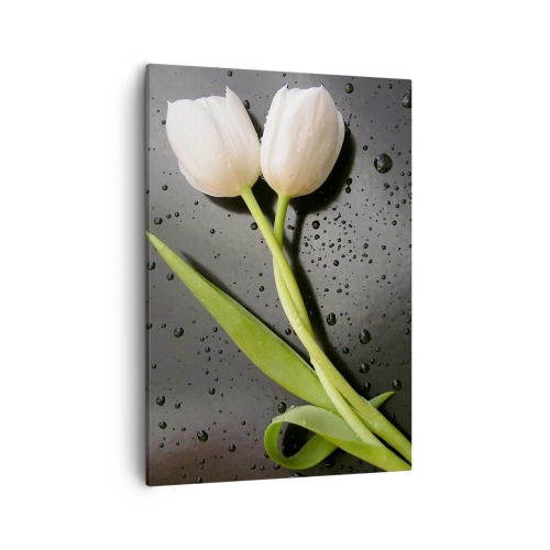 Bild auf Leinwand - Leinwandbild - Weiße Tulpen auf schwarzem Hintergrund mit Wassertropfen - 50x70cm - Frühlingsgewebe - Moderne Wanddekoration für Wohnzimmer und Schlafzimmer ARTTOR