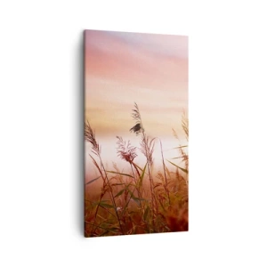 Bild auf Leinwand - Leinwandbild - Drachen, Löwenzahn, Wind - 45x80 cm