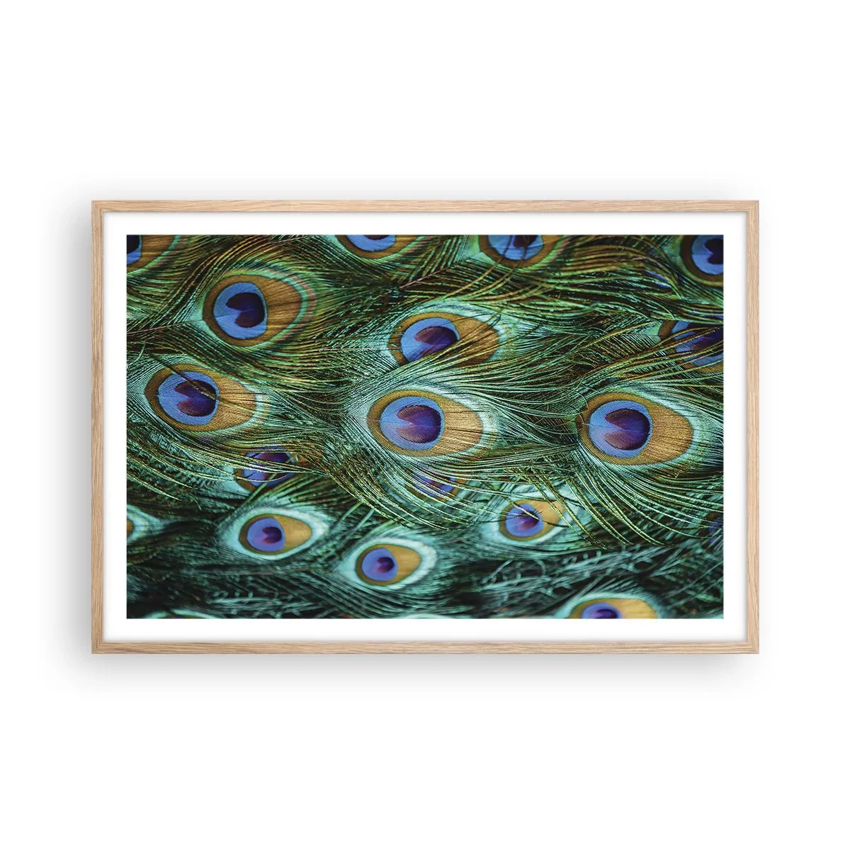 Poster in einem Rahmen aus heller Eiche - Ein Blick mit Pfauenaugen - 91x61 cm