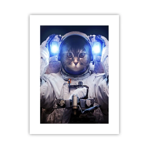 Poster - Houston, du hast ein Problem - 30x40 cm