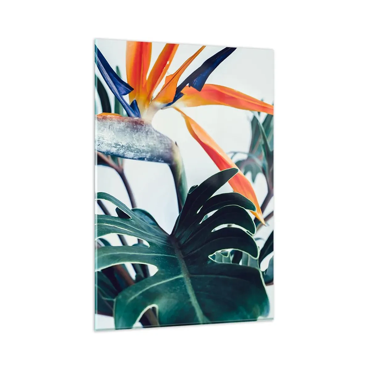 Glasbild - Bild auf glas - Strelitzia-Blüte, umgeben von Blättern in hellem Licht - 80x120cm - Vogelbusch - Moderne Wanddekoration für Wohnzimmer und Schlafzimmer ARTTOR