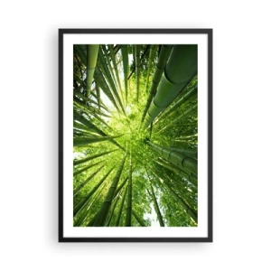 Poster in einem schwarzem Rahmen - Blick hinauf in den dichten Bambuswald - 50x70cm - In einem Bambushain - Moderne Wanddekoration für Wohnzimmer und Schlafzimmer ARTTOR
