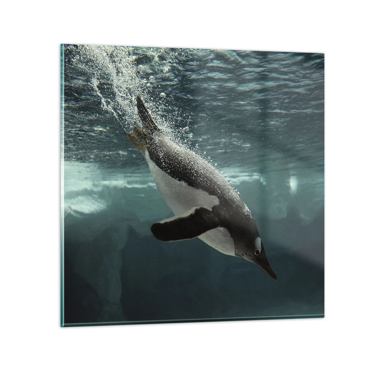 Glasbild - Bild auf glas - Willkommen in meiner Welt - 30x30 cm