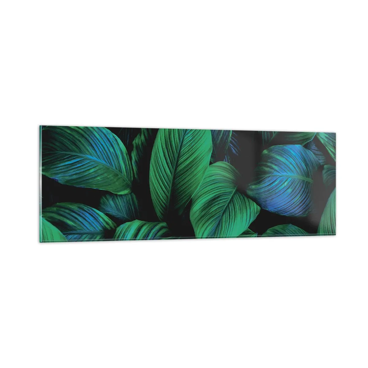 Glasbild - Bild auf glas - In der grünen Menge - 90x30 cm