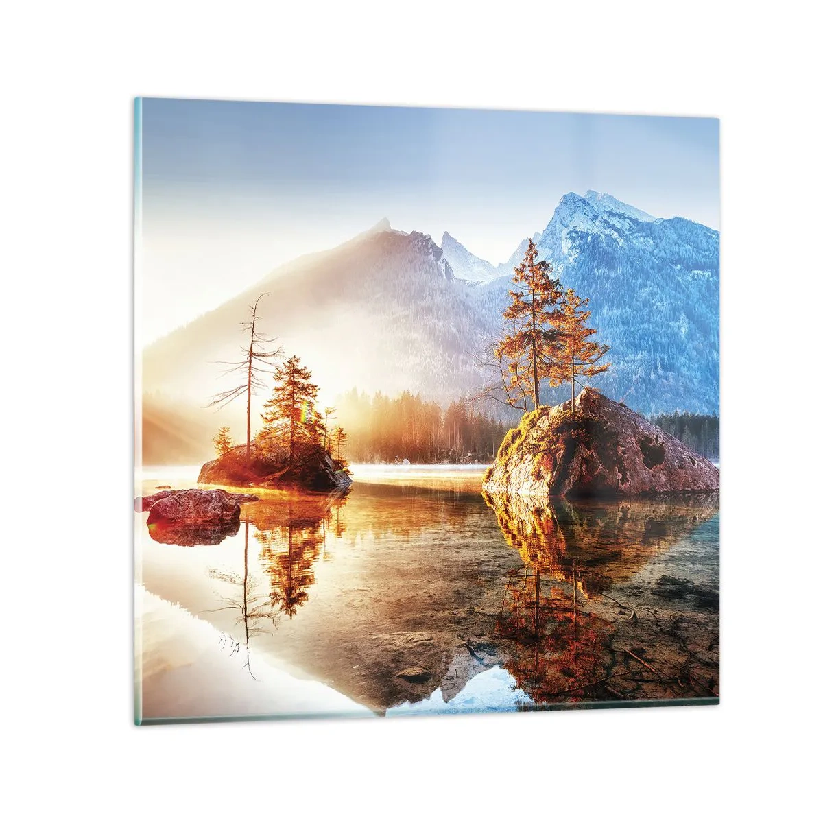 Glasbild - Bild auf glas - Natur in neuem Licht - 50x50 cm