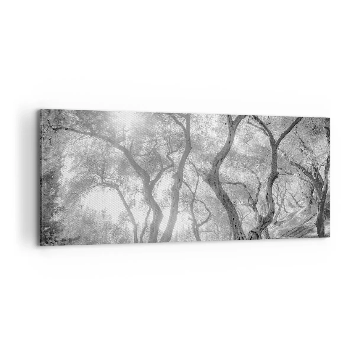 Bild auf Leinwand - Leinwandbild - Im Olivenhain - 100x40 cm