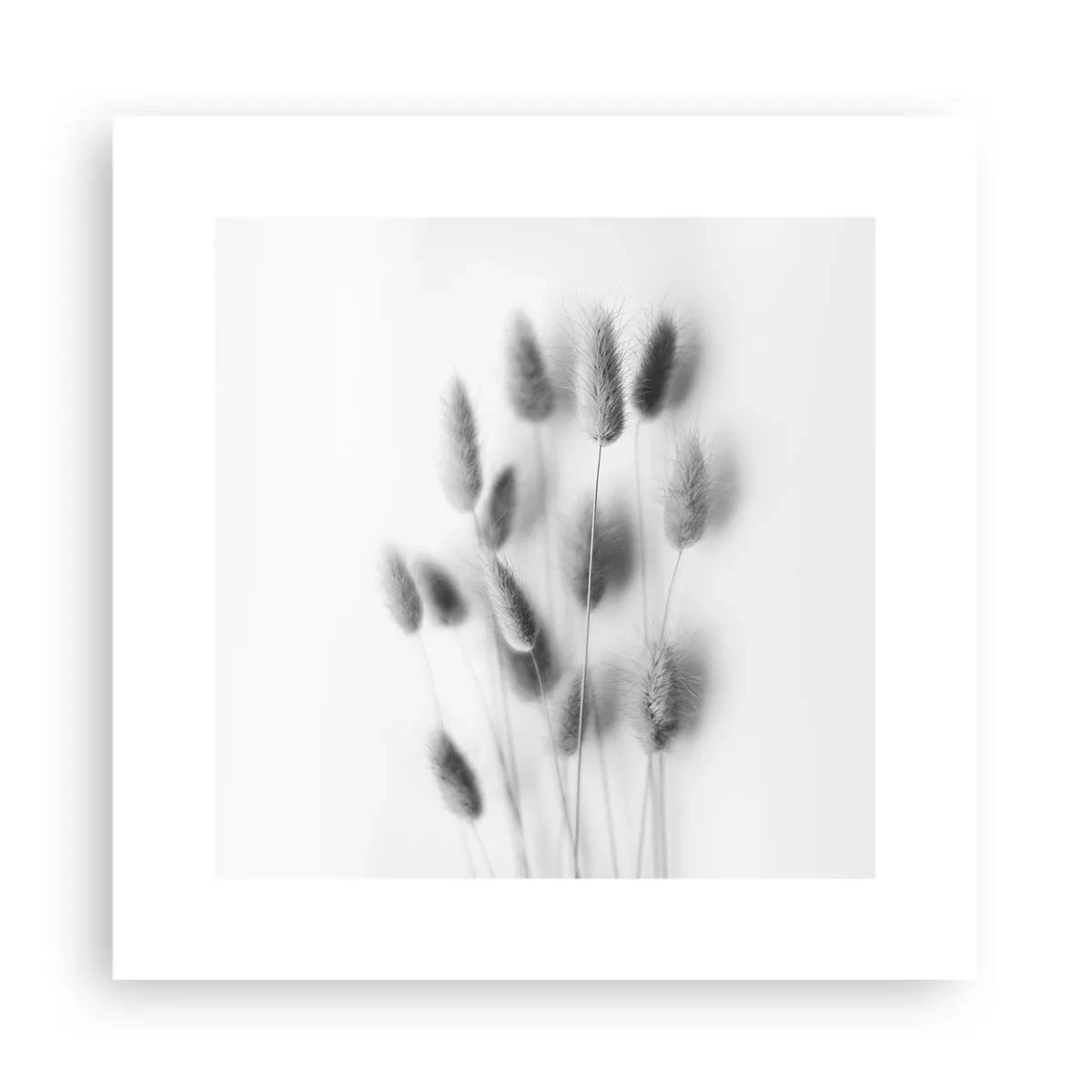 Poster - Eure flauschige Grashoheit - 30x30 cm