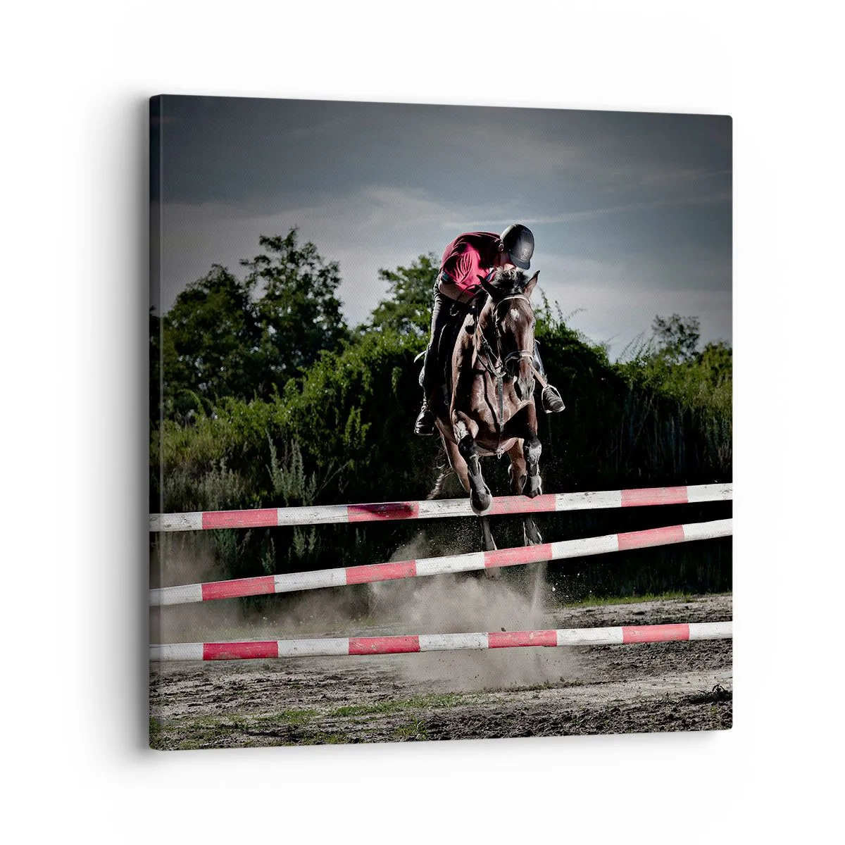 Bild auf Leinwand - Leinwandbild - Gemeinsam zum Sieg - 30x30 cm