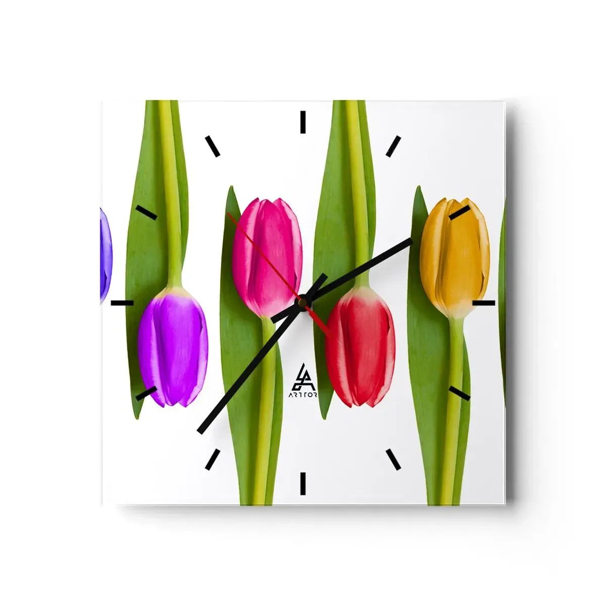 Wanduhr - Glasuhr - Bunte Tulpen in einer Reihe auf weißem Hintergrund angeordnet - 30x30cm - Regenbogenkomposition - Moderne Wanddekoration für Wohnzimmer und Schlafzimmer ARTTOR