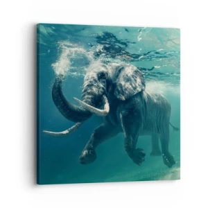 Bild auf Leinwand - Leinwandbild - Jeder schwimmt gerne - 30x30 cm