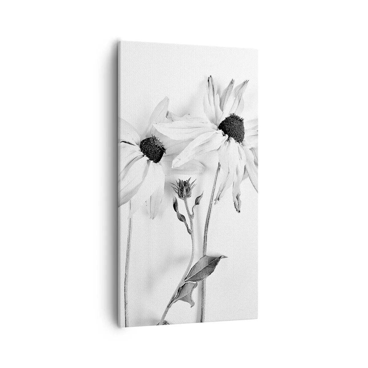 Bild auf Leinwand - Leinwandbild - Niemand will allein sein - 55x100 cm