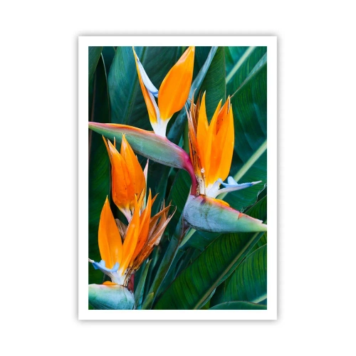 Poster - Ist es eine Blume oder ist es ein Vogel? - 70x100 cm