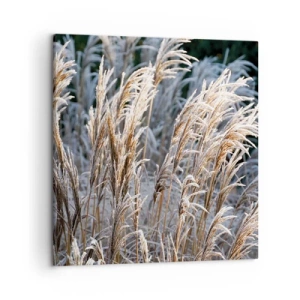 Bild auf Leinwand - Leinwandbild - Gekleidet mit Frost - 50x50 cm