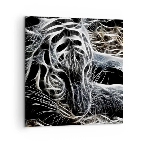 Bild auf Leinwand - Leinwandbild - Eine Studie über die Leichtigkeit der Katze - 60x60 cm