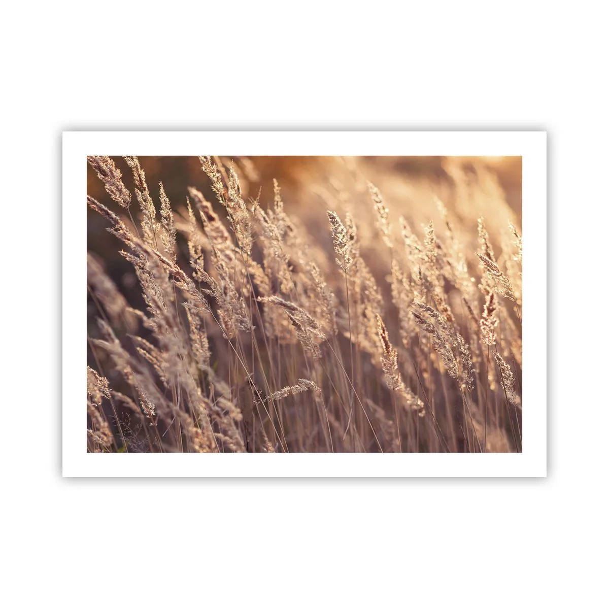 Poster - Bereit, den Herbst willkommen zu heißen - 70x50 cm