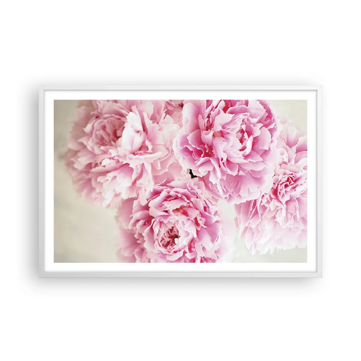 Poster in einem weißen Rahmen - In rosa Glamour - 91x61 cm