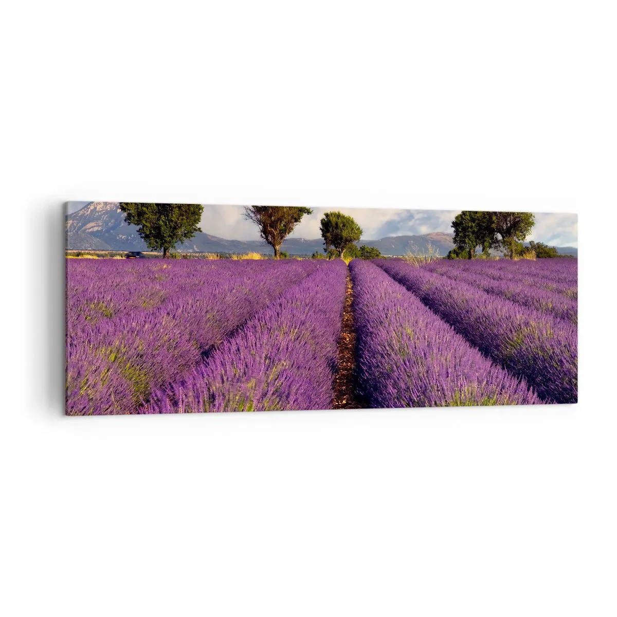 Bild auf Leinwand - Leinwandbild - Ein Lavendelfeld mit Bäumen vor der Kulisse von Bergen und Himmel - 140x50cm - Lavendelfelder - Moderne Wanddekoration für Wohnzimmer und Schlafzimmer ARTTOR