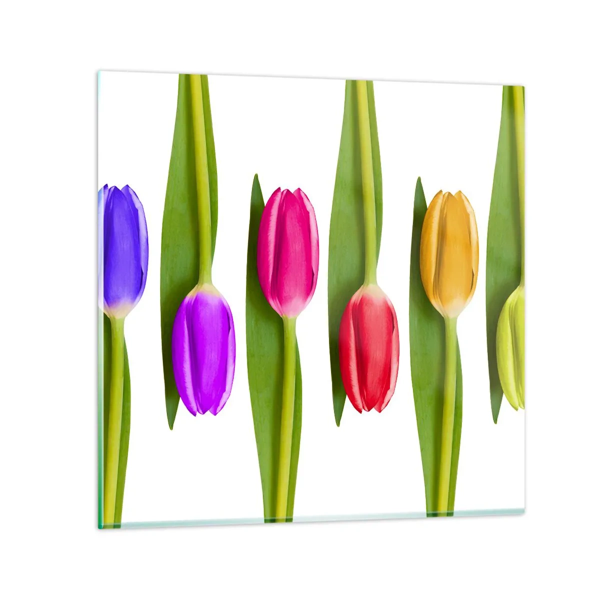 Glasbild - Bild auf glas - Regenbogenkomposition - 60x60 cm