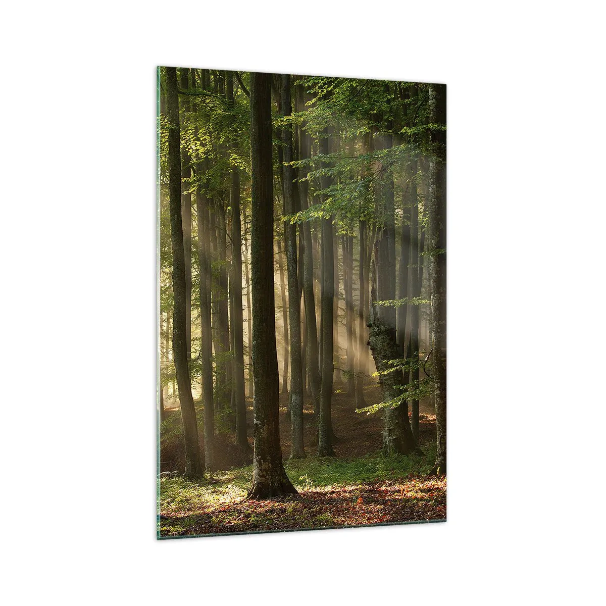Glasbild - Bild auf glas - Sonnenstrahlen dringen durch die Bäume im Wald - 70x100cm - Strahlend an einem Frühlingsmorgen - Moderne Wanddekoration für Wohnzimmer und Schlafzimmer ARTTOR