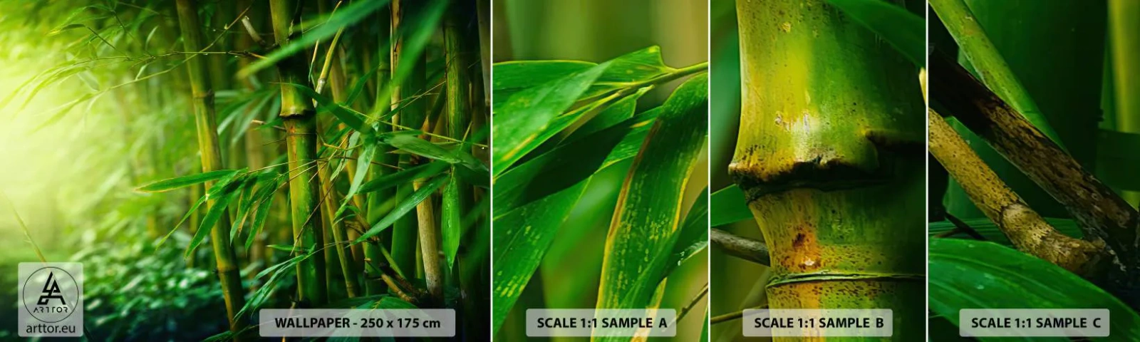 Fototapeten Muster Selbstklebend Deluxe Sticker - Lerne Grün selbst kennen - Anlage, Bambus, Dschungel - 100x30 cm