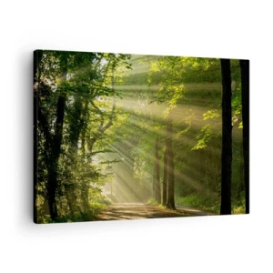 Bild auf Leinwand - Leinwandbild - Waldweg mit Sonnenstrahlen, die durch die Bäume scheinen - 70x50cm - Waldmoment - Moderne Wanddekoration für Wohnzimmer und Schlafzimmer ARTTOR