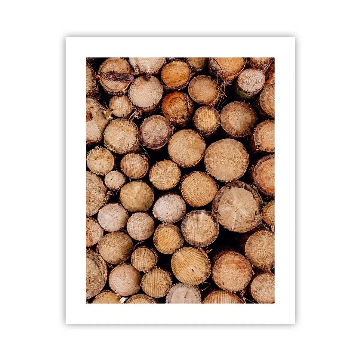 Poster - Ein neuer Anfang - 40x50 cm
