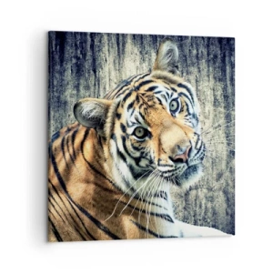 Bild auf Leinwand - Leinwandbild - Portrait in Lichtstrahlen - 50x50 cm