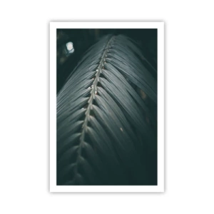 Poster - Die Präzision der Natur - 61x91 cm