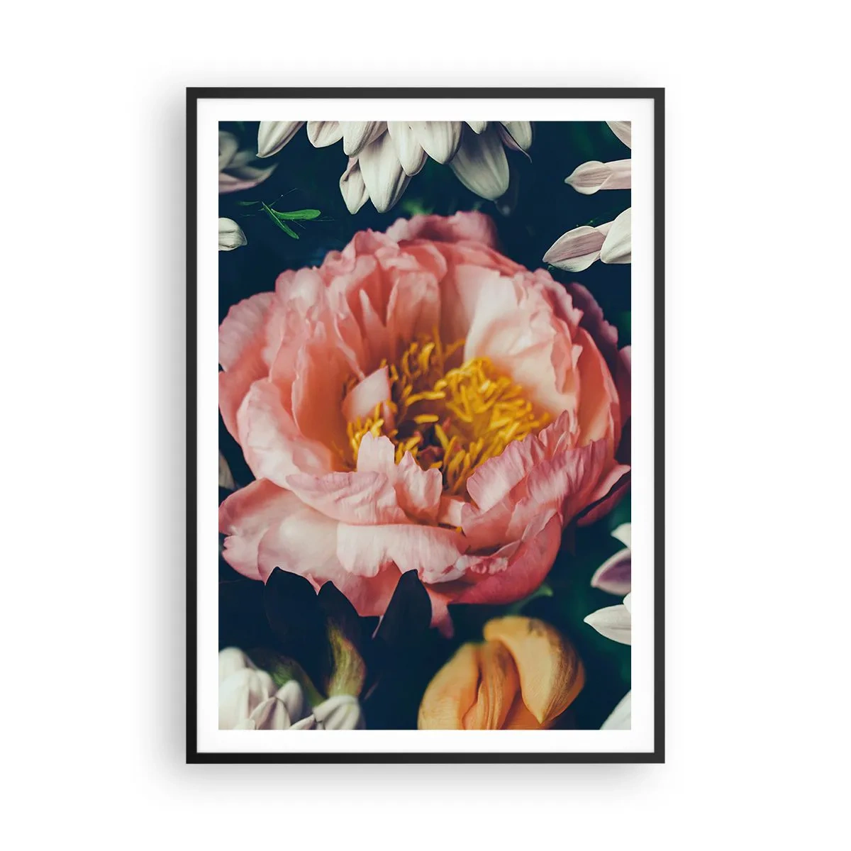 Poster in einem schwarzem Rahmen - Mit barocker Pracht - 70x100 cm