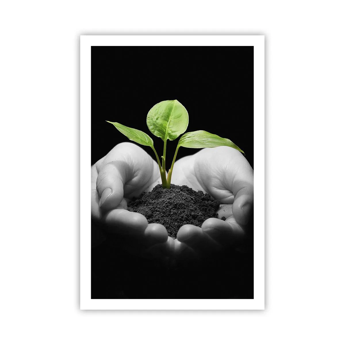 Poster - Ich liebe die Natur, ich beschütze sie - 61x91 cm