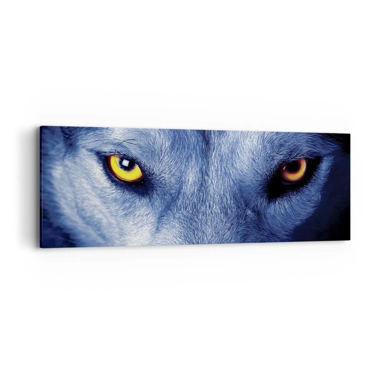 Bild auf Leinwand - Leinwandbild - Faszinierender Blick - 90x30 cm