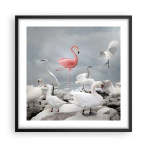 Poster in einem schwarzem Rahmen - Wie kam ich hier hin? - 50x50 cm