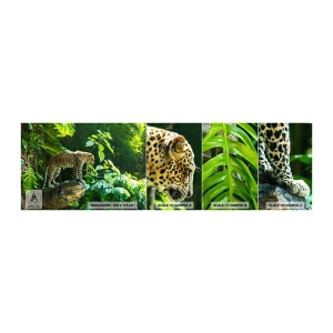 Fototapetenmuster Standard Eco - Auf die Jagd? - Dschungel, Leopard, Tropen - 100x30 cm