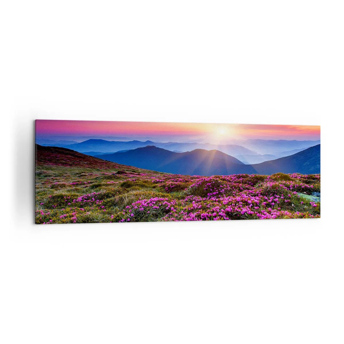 Bild auf Leinwand - Leinwandbild - Bergwiese mit Blumen bei Sonnenuntergang - 160x50cm - Kräuter dufteten nach frischen Trauben von den Feldern - Moderne Wanddekoration für Wohnzimmer und Schlafzimmer ARTTOR