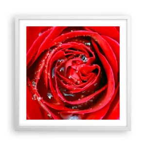 Poster in einem weißen Rahmen - In den Tautropfen - 50x50 cm