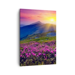 Bild auf Leinwand - Leinwandbild - Eine blühende Wiese mit Blick auf die Berge bei Sonnenuntergang - 50x70cm - … Und drumherum duftet es nach Latschenkiefer und dem Duft von Kräutern - Moderne Wanddekoration für Wohnzimmer und Schlafzimmer ARTTOR